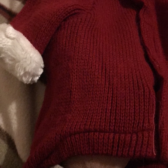 CHRISTMAS SWEATER FOR DOG - Picture 9 of 12